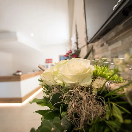 Hotel Bauer Garni 3*