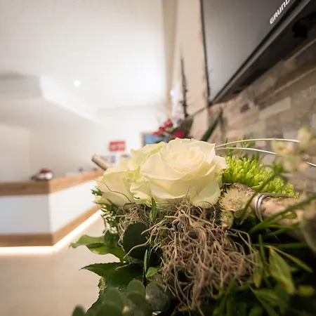 Bauer Garni Ingolstadt