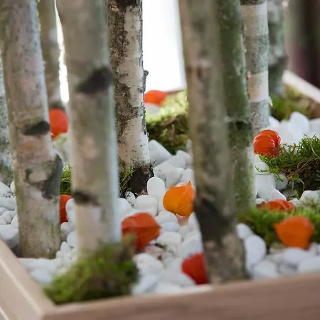 Hotel Bauer Garni 3*