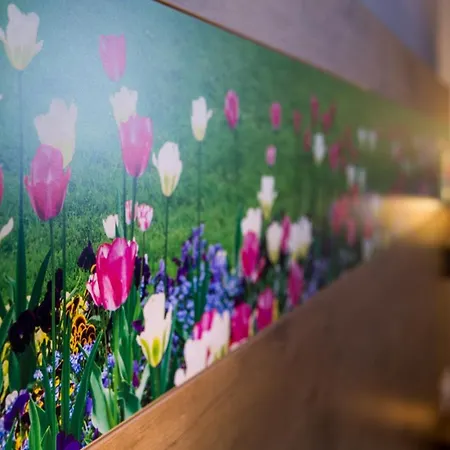 Bauer Garni Ingolstadt