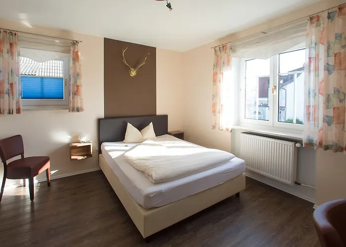 Bauer Garni אינגולשטאט