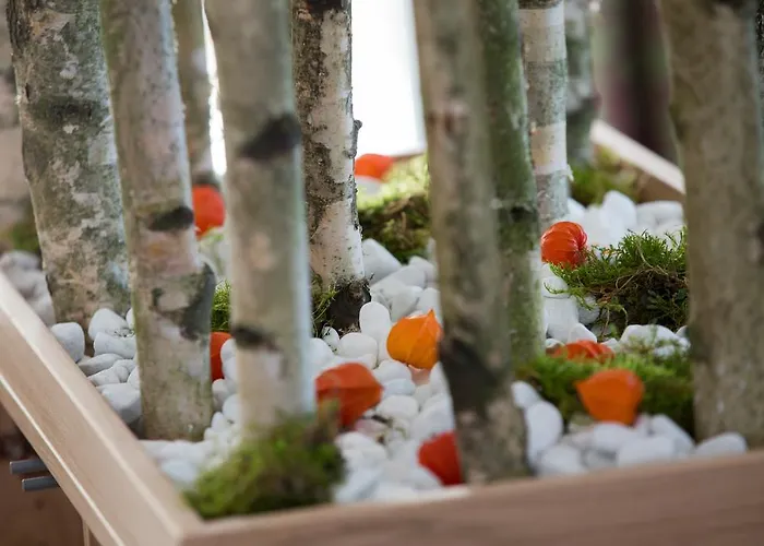 Hotel Bauer Garni 3*